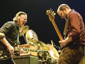 Swans