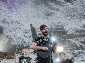 Foals