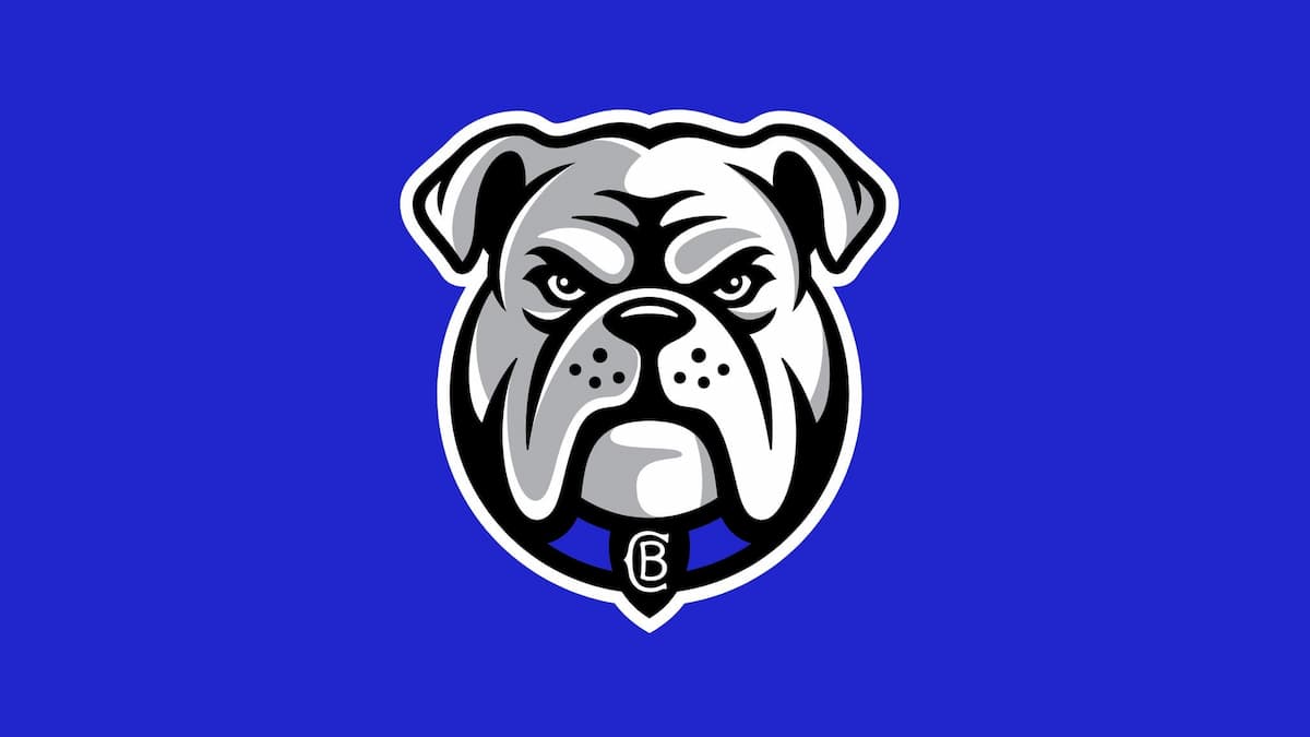 2026 NRL Telstra Premiership Bulldogs v Tigers (Round 20)