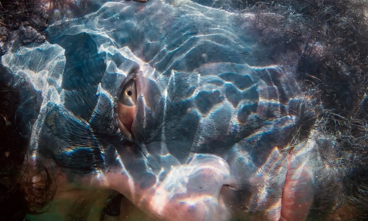 Declan O' Rourke: Oceanic