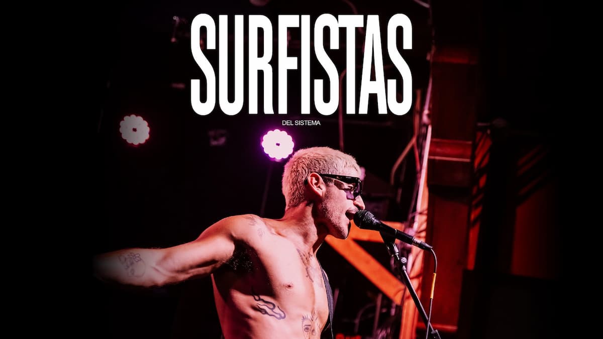 Surfistas del Sistema
