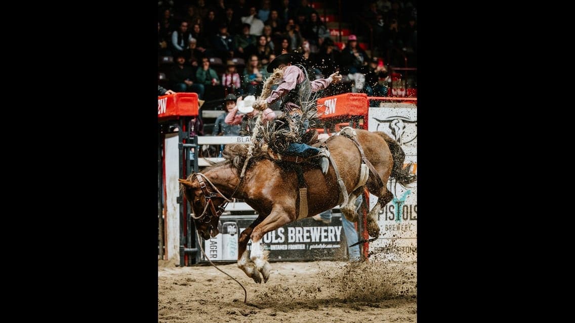 Moncton KIOTI Stampede