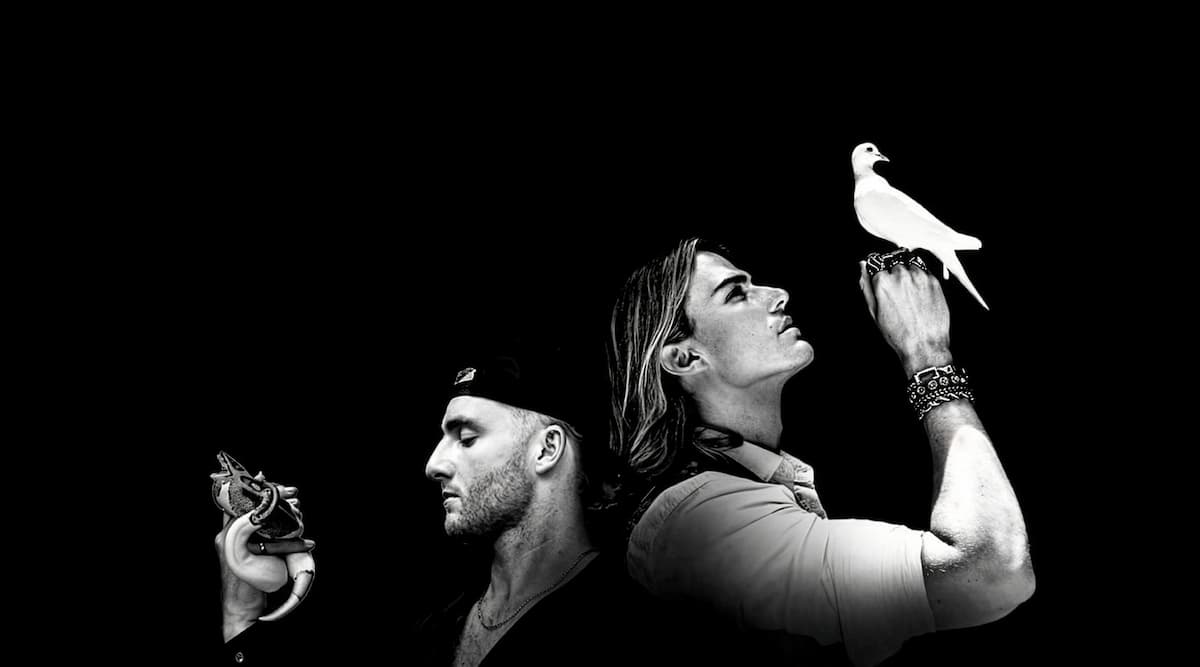 Voila