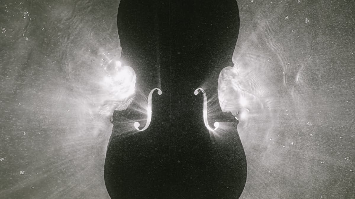 Auckland Philharmonia: Mendelssohn's Violin