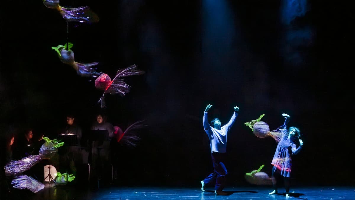 "Stage of the Arts México & Compañía Flotante, La ópera de los monstru