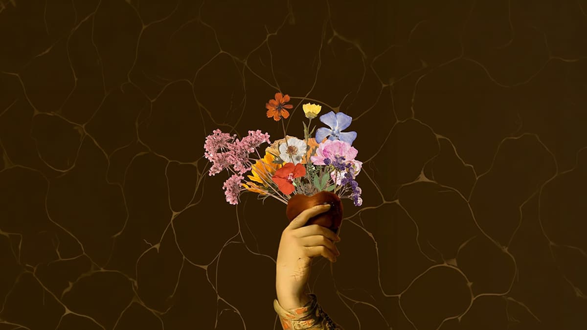 Una Flor en cada amor