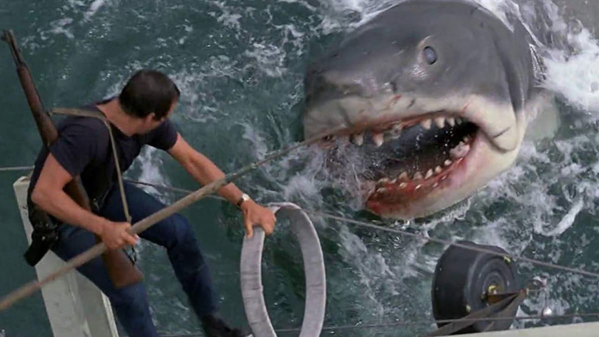 Dream Live Presents: Jaws Fest