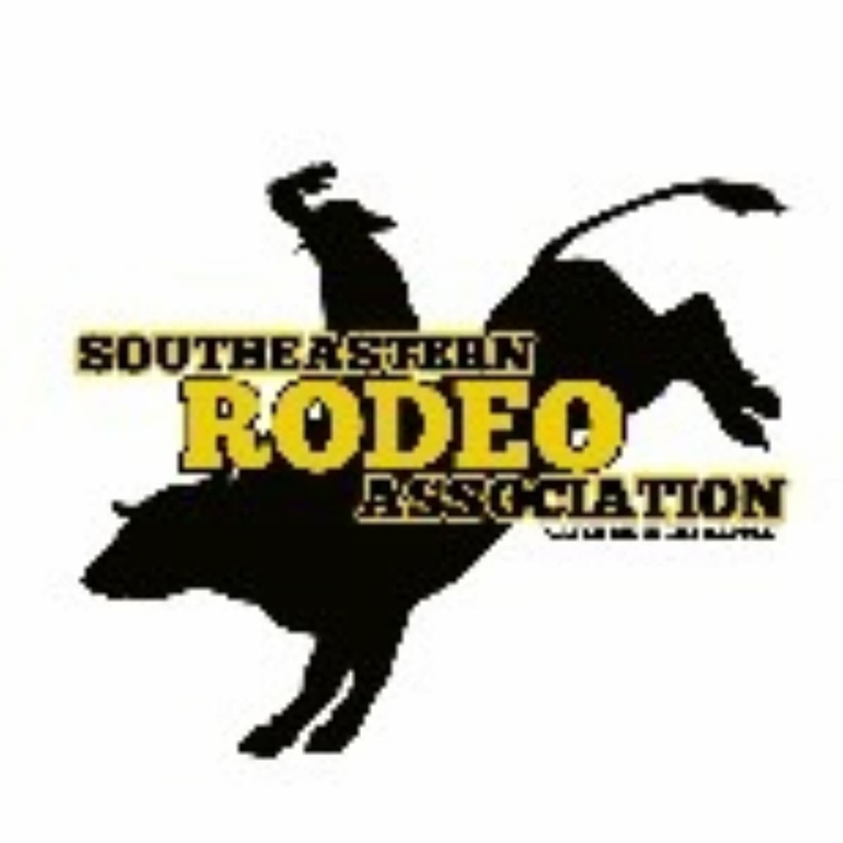 The New Orleans Sera Invitational Rodeo