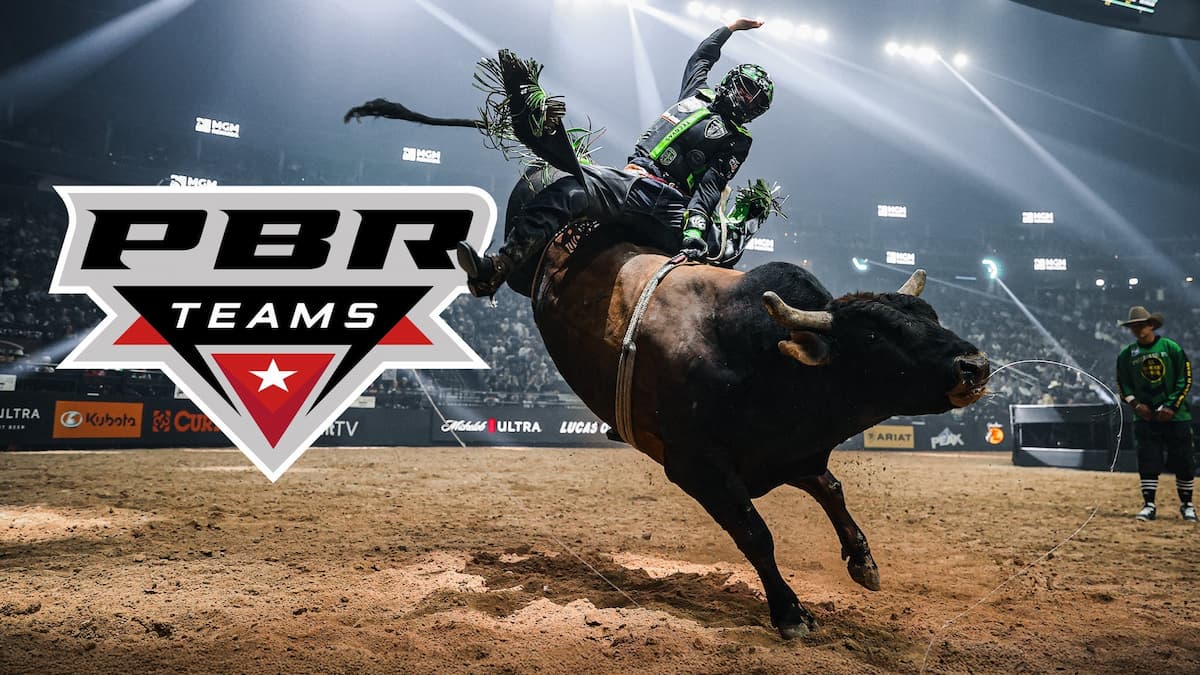PBR: Team Series