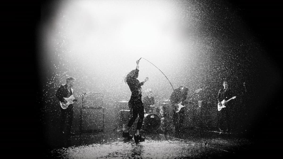 Marmozets