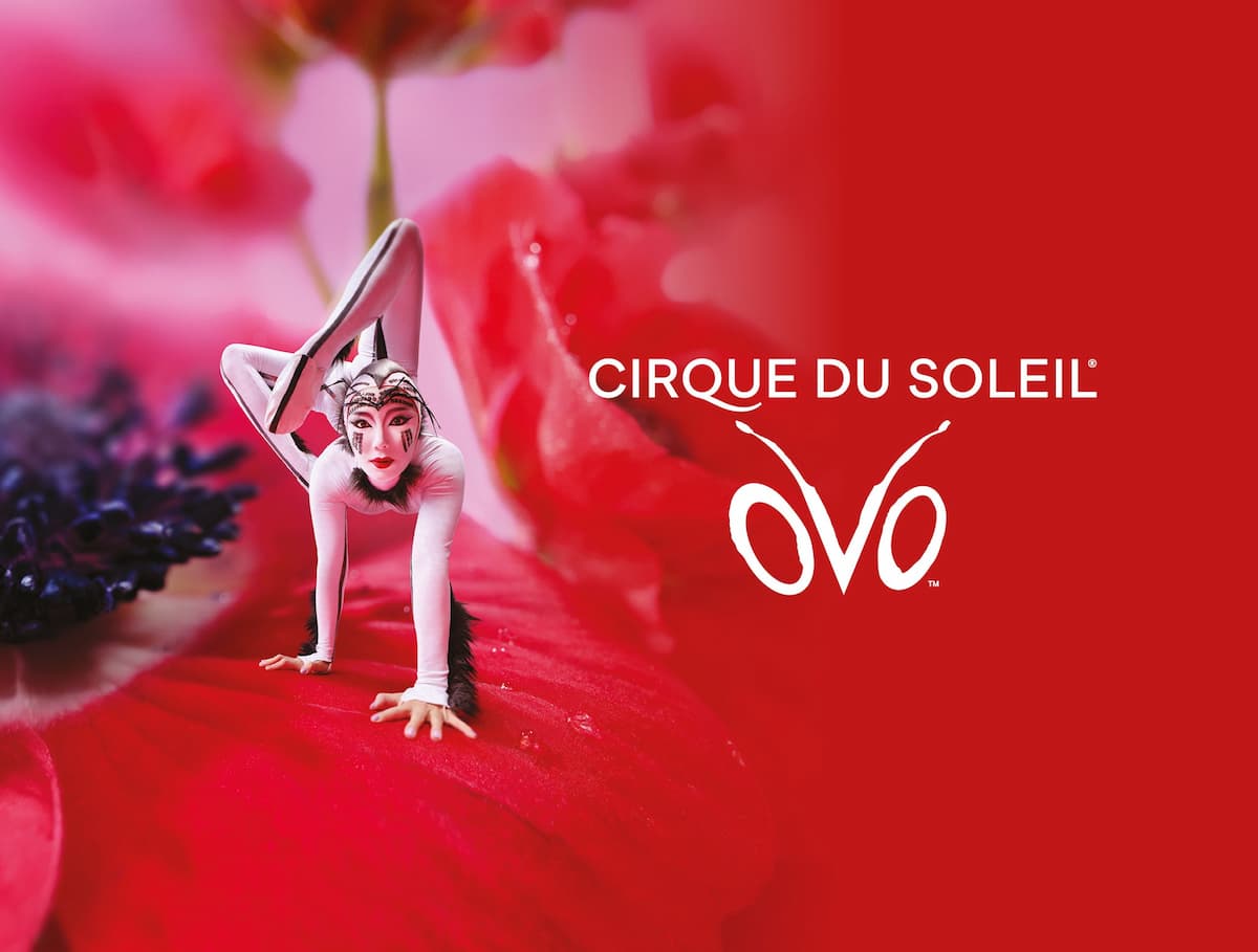Cirque du Soleil OVO