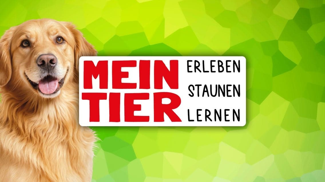 Mein Tier
