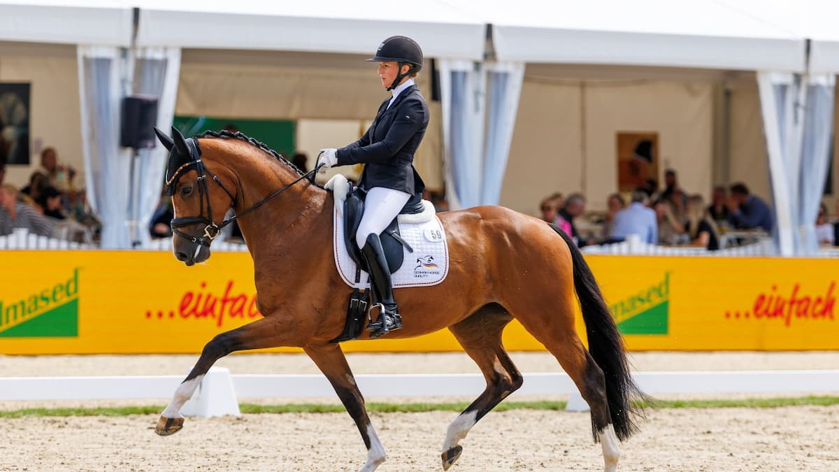 Dressage World Breeding Championship for Young Horses 2026, THU 06.08.