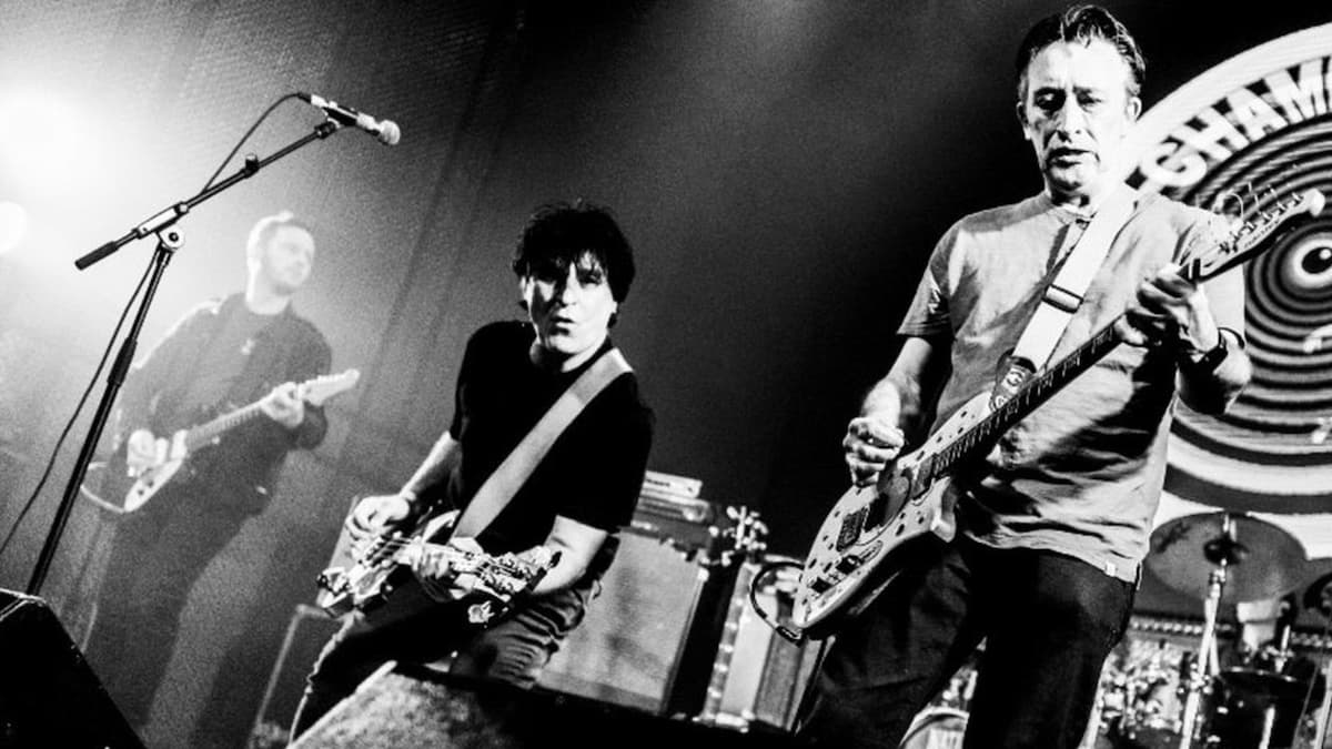 The Chameleons