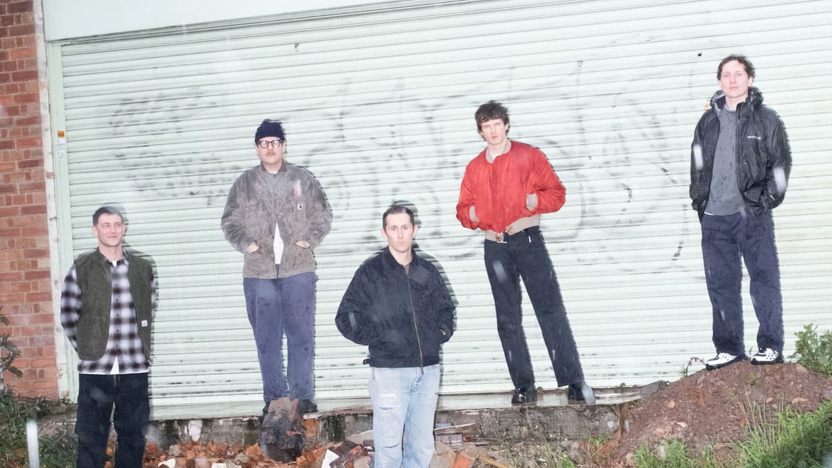 Basement w/ Fiddlehead