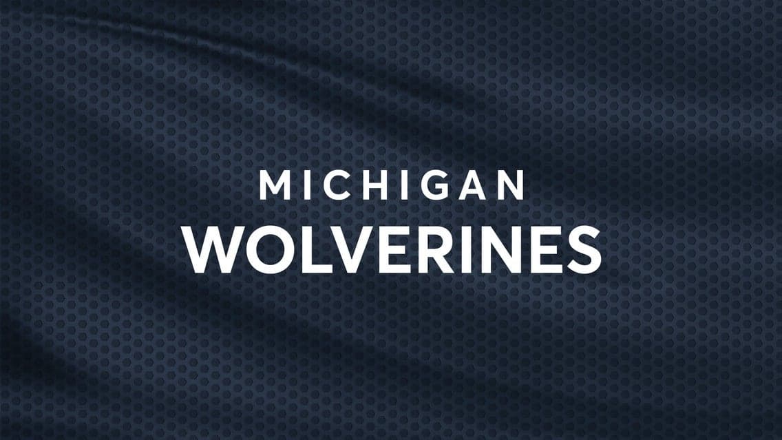 Michigan Wolverines Womens Volleyball vs. South Carolina Gamecocks Womens Volleyball
