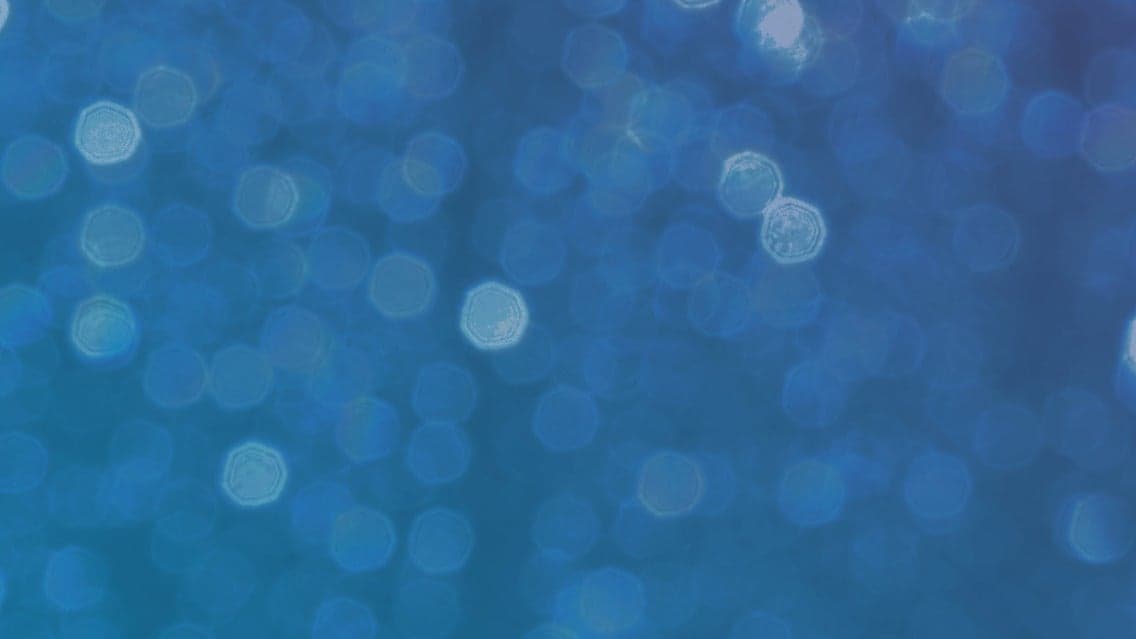 Chipa Sounds