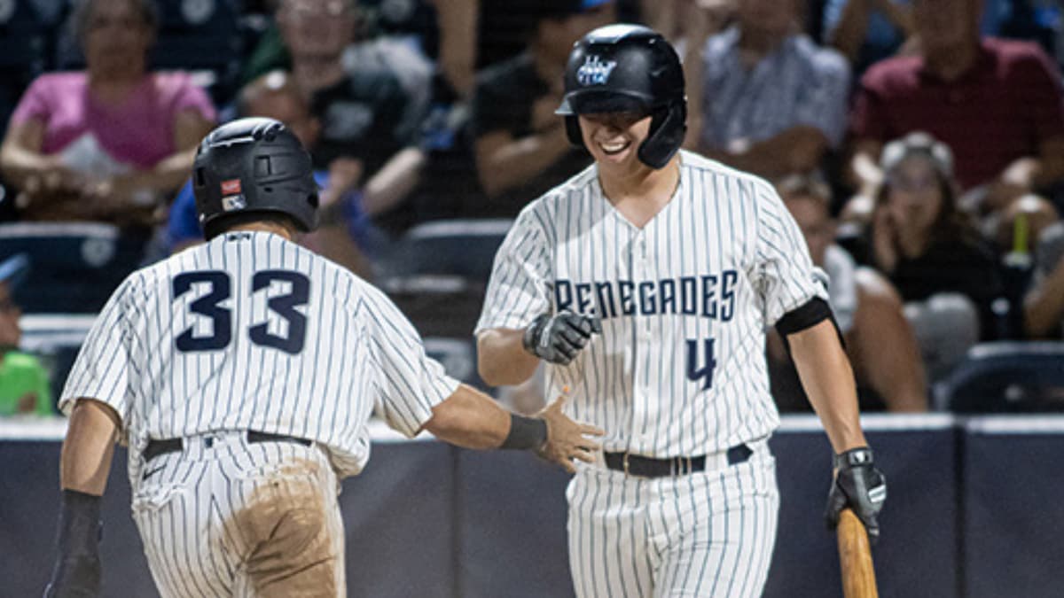 Hudson Valley Renegades vs. Brooklyn Cyclones