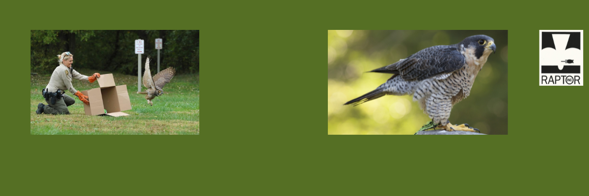 2026 RAPTOR 5K presented by Wild Birds Unlimited - Cincinnati