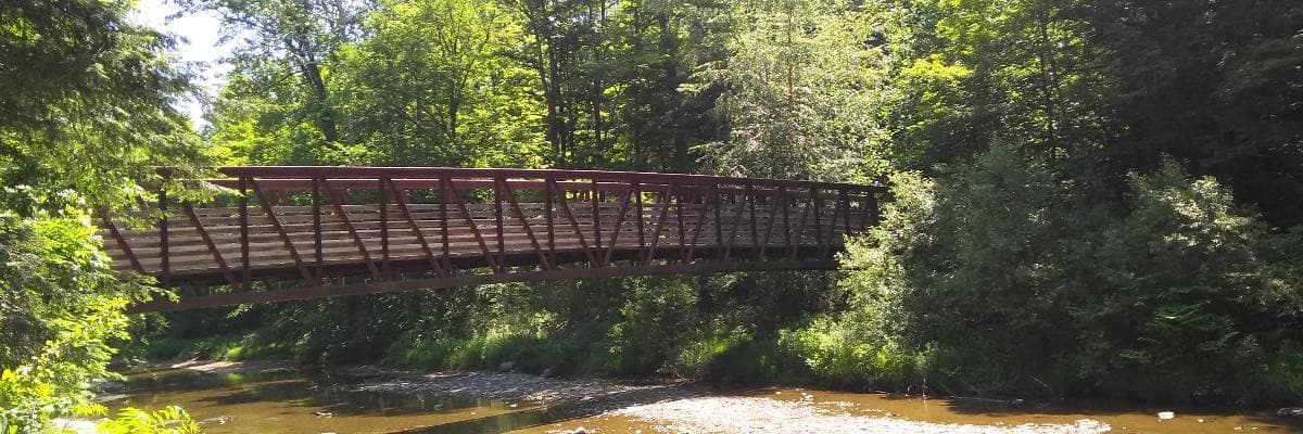 Into the Woods Six Miler
