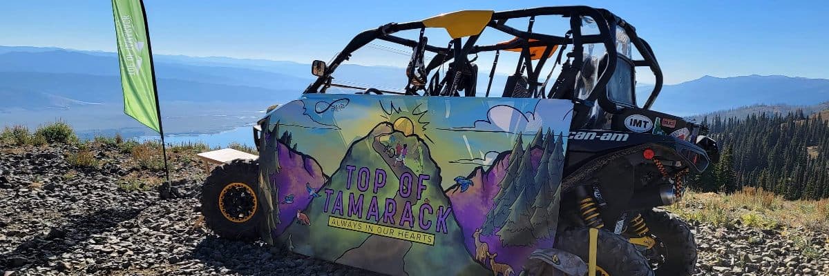 Top of Tamarack