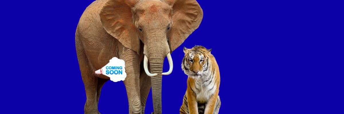 Britta's Chase 5K @ SA Zoo