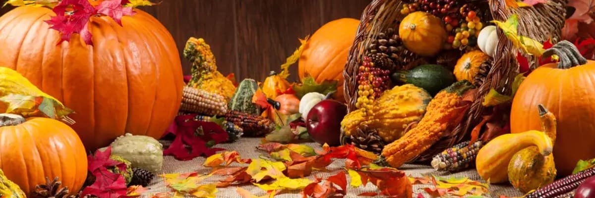 14th Annual Old North State  5K Turkey Trot Run