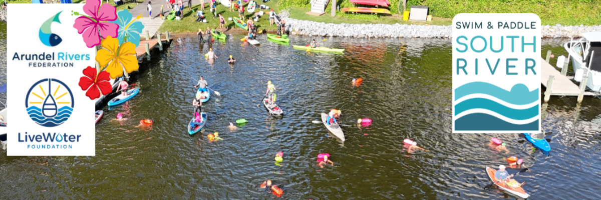 Swim & Paddle the South River