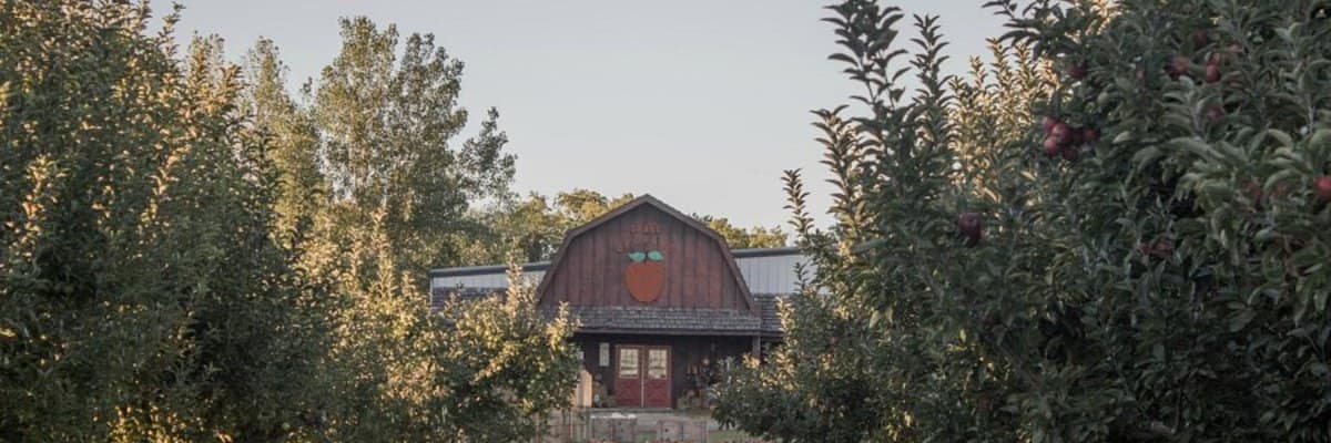 Deal's Orchard Spiked Apple 5k