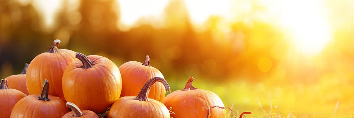 The Running Pumpkin