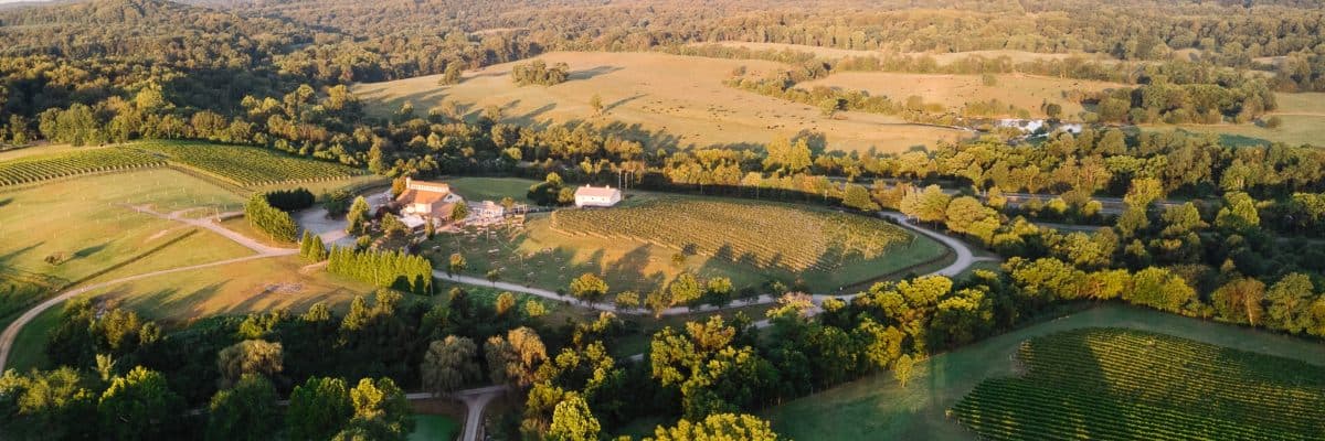 Barrel Oak Wine Run 5k