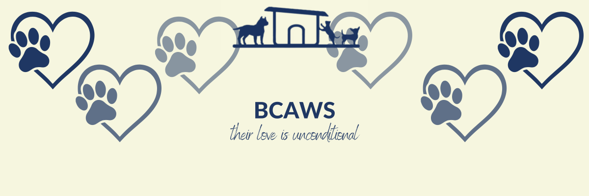 Run for BCAWS!