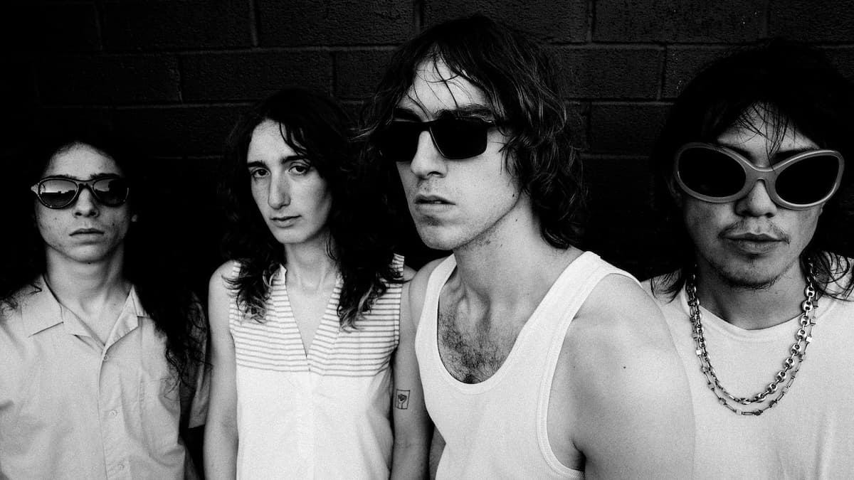  Geese - Getting Killed Again Tour