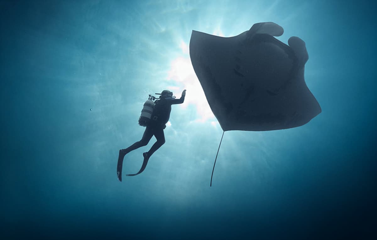 The Last Dive: San Diego Premiere