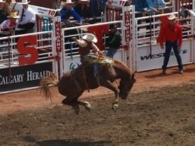 Calgary Stampede Rodeo