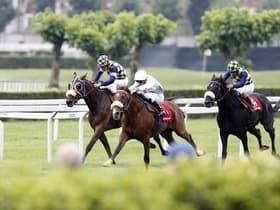 Breeders' Cup World Championships
