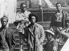 The Wailers