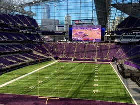 Minnesota Vikings
