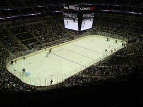 Pittsburgh Penguins