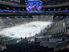 St. Louis Blues