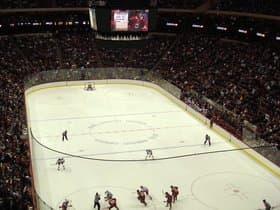 Minnesota Wild