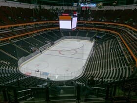 Anaheim Ducks