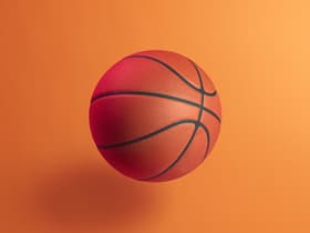 Mount Olive Trojans Womens Basketball
