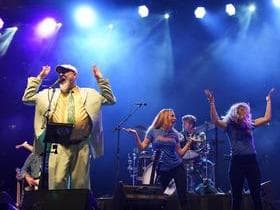 Shinyribs