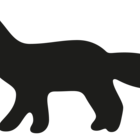 Kitsune