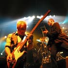 Dr. Feelgood