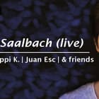 Jonas Saalbach