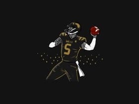 Wake Forest Demon Deacons Football