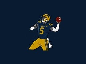 Notre Dame Fighting Irish Football