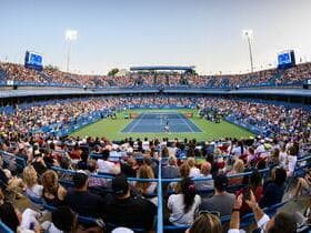 Mubadala DC Open